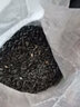 新黑珍珠小瓜子葵花子油葵籽鸚鵡鳥食倉(cāng)鼠糧鴿糧黑瓜子 生油葵/小瓜子3斤寵物糧 曬單實(shí)拍圖