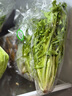 彩虹雨 北京農場(chǎng)有機苦菊250g 歐盟認證有機蔬菜自有農場(chǎng)一菜一碼 曬單實(shí)拍圖