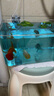 寵街坊魚(yú)缸桌面小型金魚(yú)缸PET魚(yú)缸一體缸透明生態(tài)烏龜缸客廳家用送禮 曬單實(shí)拍圖