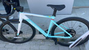 喜德盛公路車25-AD350碳纖前叉功率計齒盤鋁合金氣動車架 流光青 480 曬單實拍圖