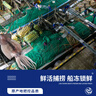 海鼎紀鮮切魷魚(yú)須900g 海鮮 燒烤火鍋 鐵板魷魚(yú) 300g/包*3包 中秋 曬單實(shí)拍圖