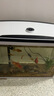 長(cháng)銳魚(yú)缸一體缸自循環(huán)免換水家用客廳桌面小型金魚(yú)缸超白玻璃養魚(yú)缸 超白CRV480標準款+水蘭青竹景（真水草） 曬單實(shí)拍圖