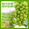 京鮮生陽(yáng)光玫瑰香青提凈重4.5-5斤裝單果10g 葡萄/提子生鮮水果源頭直發(fā) 曬單實(shí)拍圖