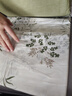 潔麗雅（Grace）100%純棉四件套新疆棉床上用品床單被套200*230cm1.5/1.8米床 曬單實拍圖