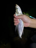 連球釣箱全套2025新款拐角炮臺釣魚(yú)箱靠背大物多功能32超輕免安裝漁具 32L 青山黛萬(wàn)向拐角炮臺架滿(mǎn)配款 曬單實(shí)拍圖