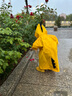大樹(shù)爺爺 TREE GRANDPA兒童雨鞋加絨內膽防滑日韓幼兒園小學(xué)寶寶玩防水膠鞋套男女童雨靴 嬌黃色 15 （適合腳長(cháng)14cm左右） 曬單實(shí)拍圖