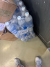 可口可樂（Coca-Cola）雪菲力 檸檬味鹽汽水 600mlx24瓶 整箱裝  曬單實拍圖