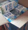 紐麥福（Meadow fresh）新西蘭進口牛奶3.5g蛋白全脂純牛奶250ml*24盒高鈣營養(yǎng)學生奶 曬單實拍圖