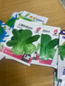 原種上海青四季春季秋季油菜白菜小青菜新鮮蔬菜四月慢五月慢包 上海青種子 1包約1000粒 曬單實(shí)拍圖