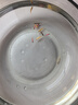 熱帶觀(guān)賞魚(yú)七彩斑馬魚(yú)紅綠燈科魚(yú)小型冷水淡水群游好養活的練手魚(yú) 2-3cm糖果斑馬12條隨機搭配 曬單實(shí)拍圖