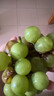夢(mèng)茜兒順豐 云南彌勒水晶葡萄 新鮮5斤現摘水果當季農家自種凈重特產(chǎn) 5斤 A級水晶葡萄 曬單實(shí)拍圖