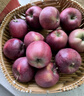 三萌果蔬花牛蘋(píng)果 甘肅當季新鮮紅蛇粉面蘋(píng)果嬰兒輔食水果中秋禮盒送禮 5斤精品果【單果70-75mm】?jì)?.5斤 曬單實(shí)拍圖