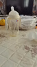 bebebus鉆光奶瓶6-10個月300ml寶寶ppsu偏心仿母乳防脹氣防嗆重力球奶瓶 曬單實拍圖