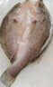 鮮京采三去海鱸魚(yú)3斤/3條 生鮮魚(yú)類(lèi) 白蕉鱸魚(yú)地標 魚(yú)類(lèi)源頭直發(fā) 曬單實(shí)拍圖