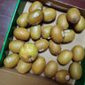佳沛（zespri）x1號會(huì )員店聯(lián)名款陽(yáng)光金奇異果20粒禮盒單果約146-175g水果獼猴桃 曬單實(shí)拍圖