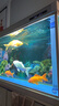 森森（SUNSUN）魚(yú)缸燈水草燈全光譜led燈防水燈管水族燈爆藻燈水陸兩用燈管 高亮白（全光譜） 適合1.2m魚(yú)缸 20W獨(dú)立開(kāi)關(guān) 長(zhǎng)98cm 曬單實(shí)拍圖
