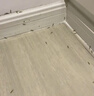 附近本地專業(yè)上門滅白蟻殺蟲 除白蟻家庭白蟻防治白蟻消殺白蟻 上門家庭服務公司 上門消殺白螞蟻 白蟻消殺上門 曬單實拍圖