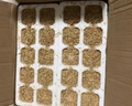 對面小城農家新鮮現撿土雞蛋谷物喂養柴雞蛋初生蛋單枚40±5g 雞蛋40枚禮盒裝 曬單實(shí)拍圖