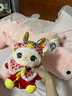 眼含淚光大號鱷魚(yú)毛絨玩具女孩布娃娃公仔玩偶陪睡覺(jué)抱枕兒童生日禮物女生 粉色 1.65米（送25cm公仔） 曬單實(shí)拍圖