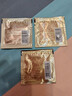 羽西鎏金家族體驗裝（面霜2ml+精華2ml+新眼霜2ml）護膚品玻色因修護 曬單實(shí)拍圖