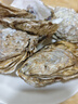 百味殿【活鮮】生蠔 乳山牡蠣 新鮮海蠣子生鮮貝類 【肉質(zhì)飽滿】3XL 凈重4斤(11-13只) 曬單實(shí)拍圖