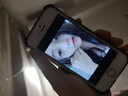蘋果iPhone5s充電器套裝學(xué)生備用機(jī)網(wǎng)課拍照小屏幕蘋果5s手機(jī)套裝 5S WiFi版+充電線 64G9新隨機(jī)色 曬單實(shí)拍圖