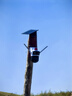 鐳威視4g太陽(yáng)能攝像頭無(wú)需連wifi免插電網(wǎng)室戶(hù)外終身免流量高清監控器360度無(wú)死角夜視全景手機遠程追蹤 曬單實(shí)拍圖