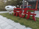 京東京造 刮水魔術(shù)拖把50cm超大號 干濕兩用浴室衛生間硅膠掃把刮地神器 曬單實(shí)拍圖