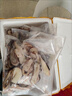 新鮮魷魚(yú)圈酒店家庭冷凍魷魚(yú)圈魷魚(yú)須章魚(yú)須八爪魚(yú)魷魚(yú) 4斤【精選魷魚(yú)圈】 2000g(凈重) 曬單實(shí)拍圖
