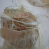 正宗梅州白心蜜柚白肉柚子新鮮應季水果生鮮蜜柚產(chǎn)地直發(fā)年貨包郵 白柚小果 凈重1.4+ 1粒 曬單實(shí)拍圖