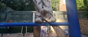 牧童寶寶學(xué)步鞋夏季軟底透氣步前鞋女包頭防撞男童涼鞋 萌兔粉 20 曬單實(shí)拍圖