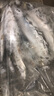 青魚(yú)鲅魚(yú)青占魚(yú)新鮮鲅魚(yú)特大青花魚(yú)青條魚(yú)深海鮐鲅魚(yú)批發(fā) 鮐鲅魚(yú)整箱6斤 新鮮直達 曬單實(shí)拍圖