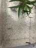 飛達三和家用小魚(yú)缸方形客廳小金魚(yú)烏龜飼養缸仿玻璃亞克力小型桌面生態(tài)缸 特大號-魚(yú)缸烏龜缸【超清8K高透】 曬單實(shí)拍圖