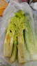 新鮮水果清芹芯 迷你西芹嫩芽生吃榨汁酒店特色菜 滿(mǎn)5件包郵 1斤 曬單實(shí)拍圖
