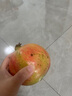 消費(fèi)社會(huì) 讓鮑德里亞 社會(huì)學(xué) 南京大學(xué)出版社 當(dāng)代學(xué)術(shù)棱鏡譯叢 對消費(fèi)社會(huì)的批判分析是當(dāng)代哲學(xué)家 社會(huì)學(xué)家討論的主要課題之一 曬單實(shí)拍圖