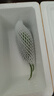 東北正宗旱黃瓜帶刺脆皮小青瓜新鮮蔬菜水果綠黃瓜單根≥90g 2斤 曬單實(shí)拍圖