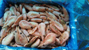 美加佳頭籽熟凍北極甜蝦凈重3斤 90/120規(guī)格 頭籽率95% 熟凍甜蝦 曬單實(shí)拍圖
