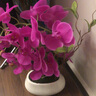 花點(diǎn)馨意蝴蝶蘭仿真花高檔盆栽擺件辦公室內前臺假花裝飾 紫色白瓷盆4595 曬單實(shí)拍圖