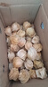 京覓東北姑娘果2斤裝 黃菇娘水果新鮮燈籠果果洋菇娘 源頭直發(fā)生鮮 曬單實(shí)拍圖