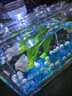 寵小帥魚(yú)缸造景玻璃珠斗魚(yú)缸底沙金魚(yú)裝飾水晶沙布景五彩石熱帶魚(yú)水族砂 【10MM】珍珠（約100顆） 曬單實(shí)拍圖