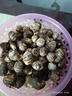 三萌果蔬牛奶小芋頭新鮮現挖農家毛芋頭香甜軟糯奶芋艿山東早餐特產(chǎn)健康 5斤精選果【粉面軟糯】?jì)?.5斤 曬單實(shí)拍圖