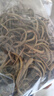 六養(yǎng)源長(zhǎng)白山腎精草60g 腎精茶嗷嗷叫黃金草金錢(qián)草貓爪草滋補(bǔ)泡水泡酒 曬單實(shí)拍圖