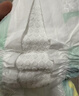 好奇（Huggies）小森林紙尿褲S62片(4-8kg)尿不濕心鉆【透氧頂配更低敏】 曬單實(shí)拍圖