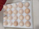 正大食品【無(wú)抗】可生食富硒鮮雞蛋15枚 曬單實(shí)拍圖