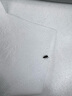 穩納折疊床午休折疊床單人床躺椅行軍床辦公室午睡床八腳護腰1.9m長(cháng) 曬單實(shí)拍圖