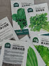 北蔬 蔬菜種子種苗大全生菜香菜菠菜秋季陽(yáng)臺(tái)菜籽 6種葉菜類(lèi)蔬菜種子 曬單實(shí)拍圖