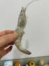 GUO LIAN國聯(lián)生鮮鹽凍大蝦 去冰凈重3斤 73-90只 盒裝活凍 海鮮海產(chǎn)冷凍蝦 曬單實(shí)拍圖