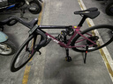 喜德盛（xds）xds ad350喜德盛ad350 25款公路車(chē)喜德盛公路車(chē)公路自行車(chē)喜德盛 2025款|車(chē)厘紫 700Cx480mm|身高165-175cm 曬單實(shí)拍圖