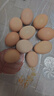 谷物鮮雞蛋 農戶(hù)散養新鮮雞蛋 單枚40g±5 10枚（40克/枚） 曬單實(shí)拍圖
