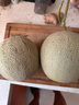 京鮮生蜜蜂授粉牛三蜜瓜網(wǎng)紋瓜 單果2斤起 凈重8-9斤 2-4粒裝源頭直發(fā) 曬單實(shí)拍圖